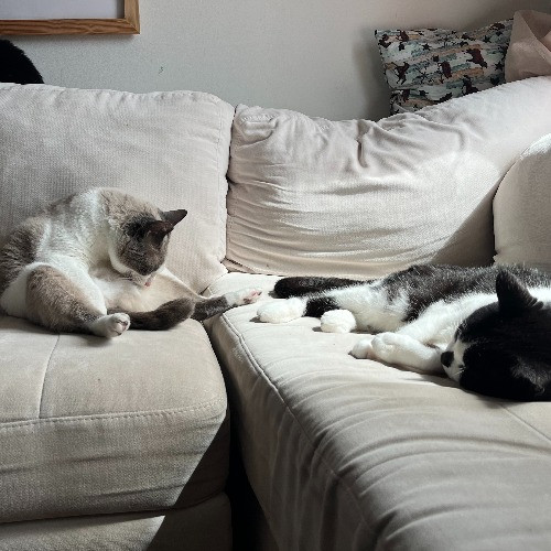 Heidi And Three's Company