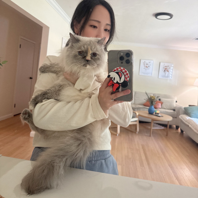 Calm Loving Cat Sitter