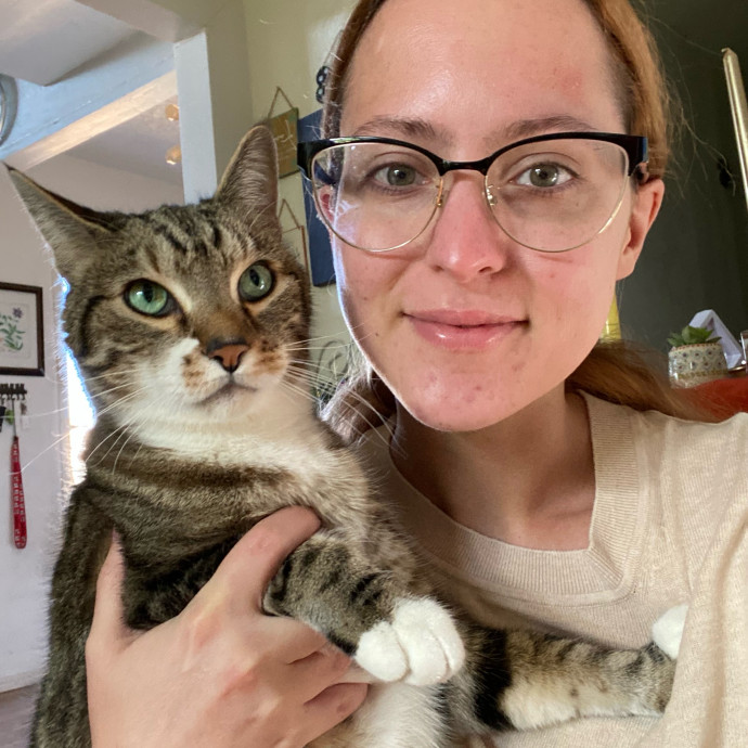 Cat Sitting In Your Kitty's Domain