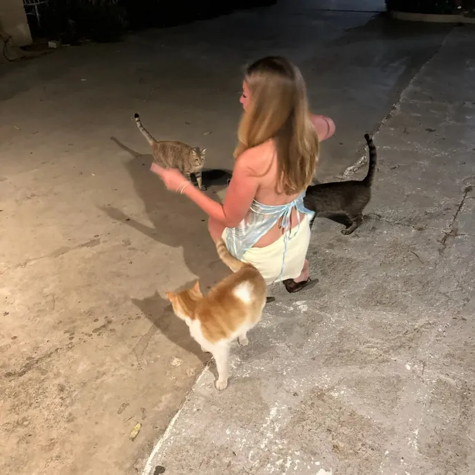 Loving Cat Sitter  Cat Mom Of 3 photo 3