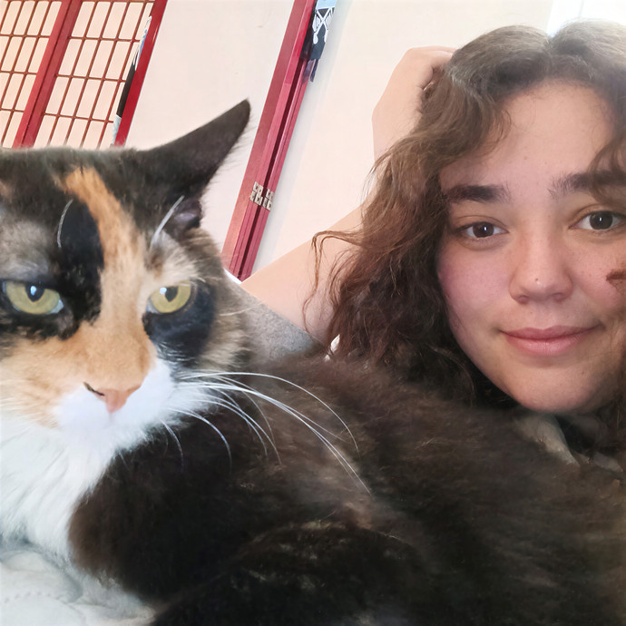 Pao's Kitty Care