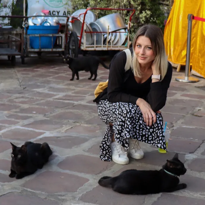 Bushwick Brooklyn Cat Sitter photo 2