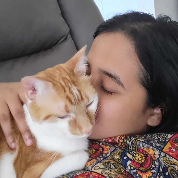 Professional Cat Spoiler photo 2