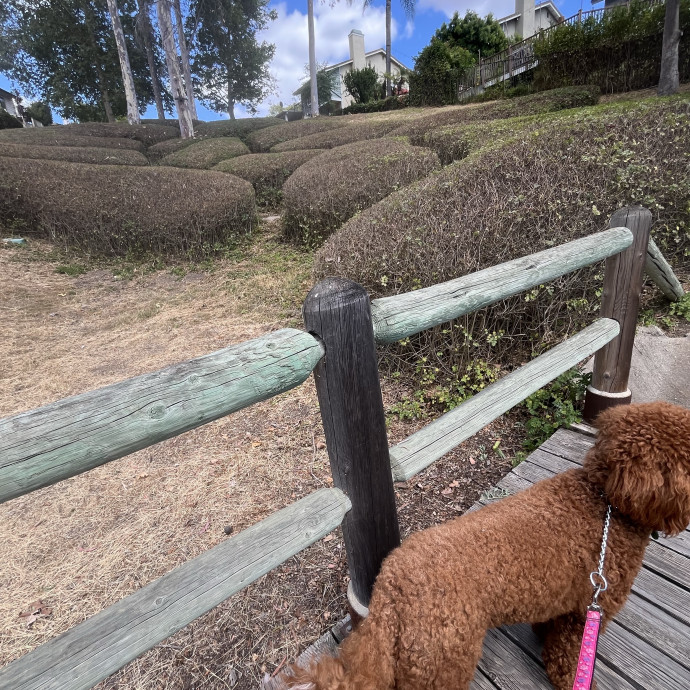 Positively Fun And Exciting Sitter photo 3