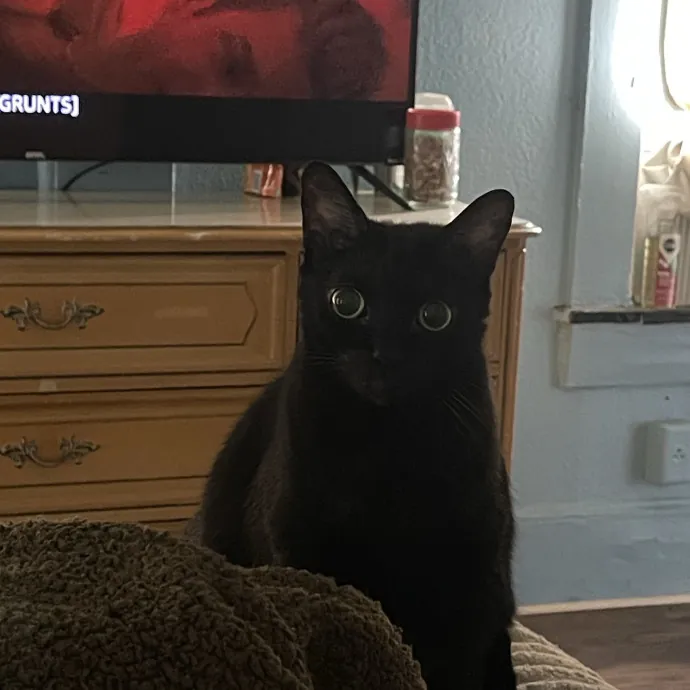 Tina E.