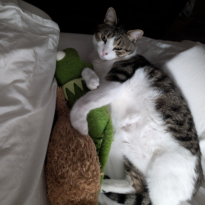 Lap Of Luxury