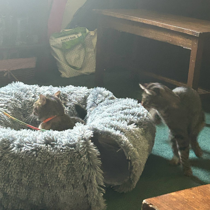 Lap Of Luxury