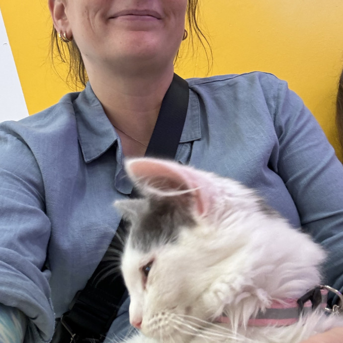 Trusted Cat Sitter