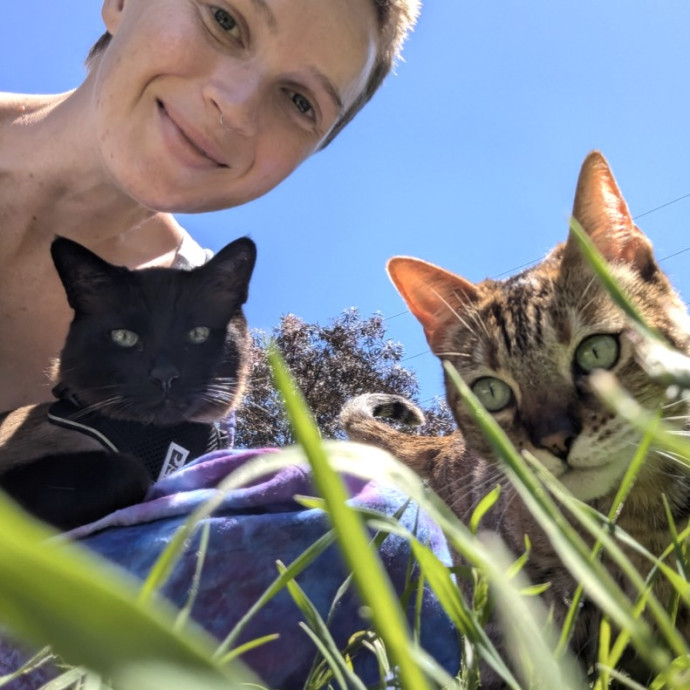Giving Your Cats Love While You're Away