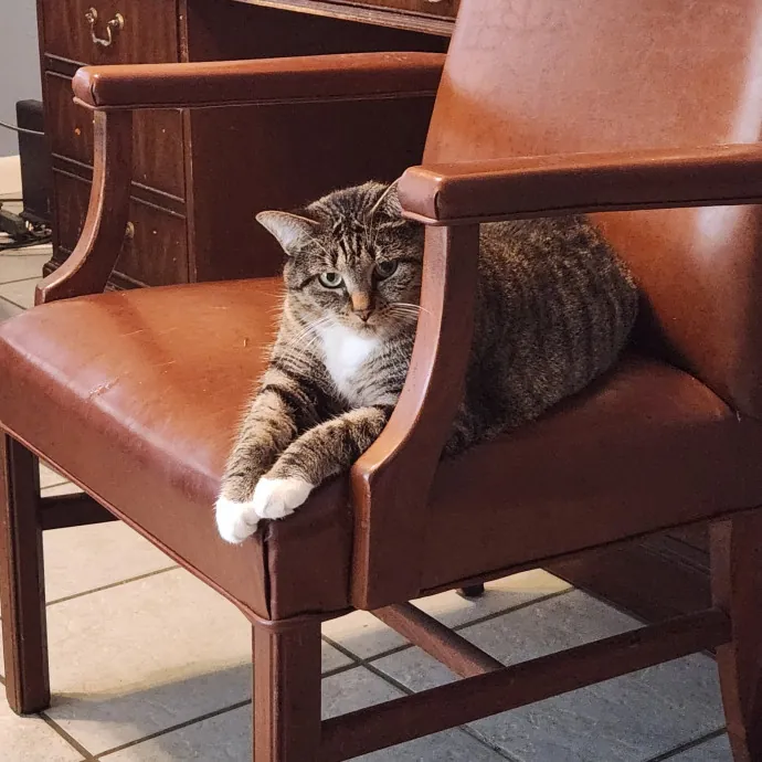 Purrfect Pals Pet Sitting