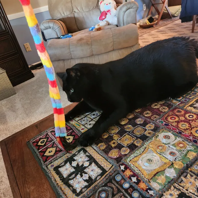 Purrfect Pals Pet Sitting