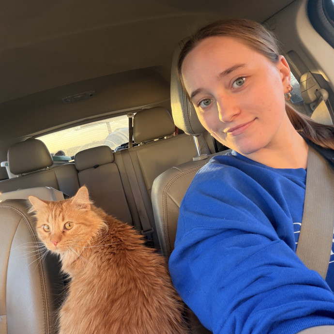 Experienced Cat Sitter