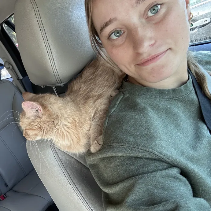 Experienced Cat Sitter