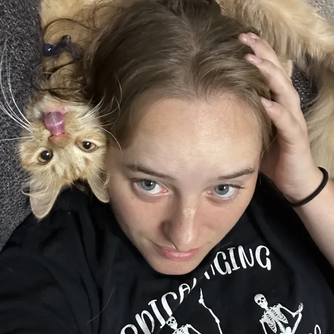 Experienced Cat Sitter photo 4