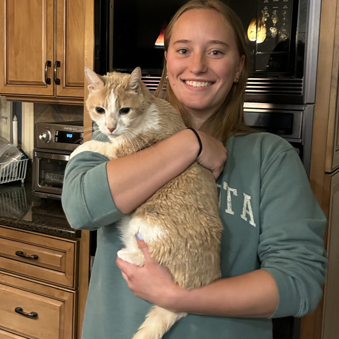 Experienced Cat Sitter