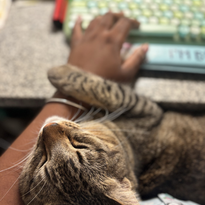 Community Cat Mom