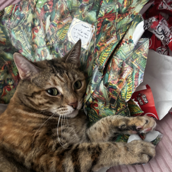 Ari's Kitty Vacation photo 2