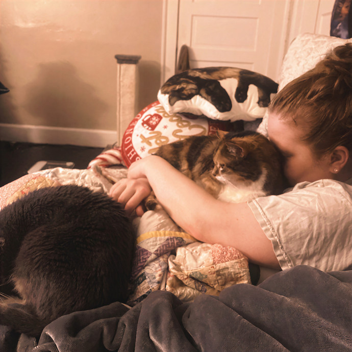Julie's Purrfessional Cat Care