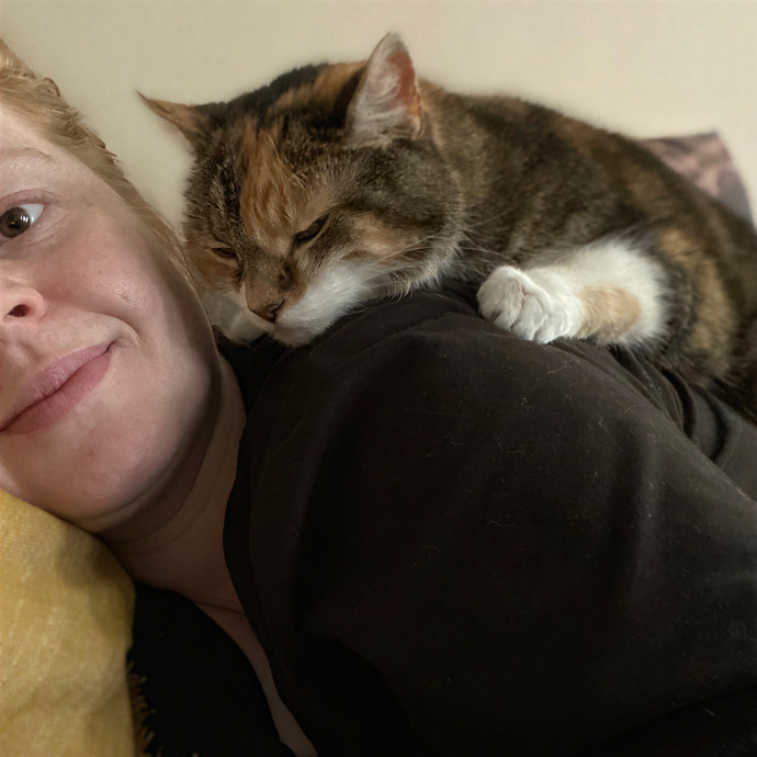 Julie's Purrfessional Cat Care