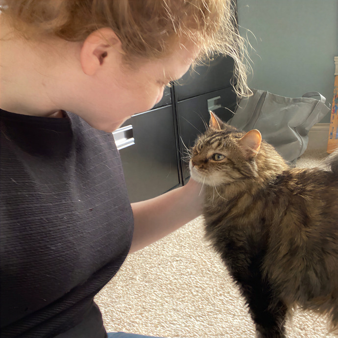 Julie's Purrfessional Cat Care