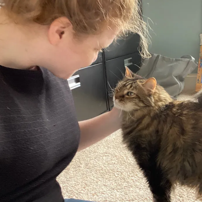 Purrfessional Cat Care - Made To Meet Your Kitty Sitting Needs