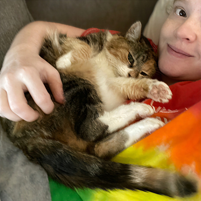 Julie's Purrfessional Cat Care