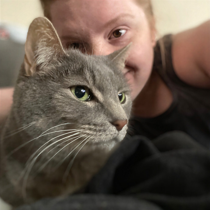 Julie's Purrfessional Cat Care
