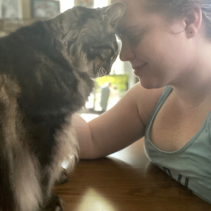 Julie's Purrfessional Cat Care