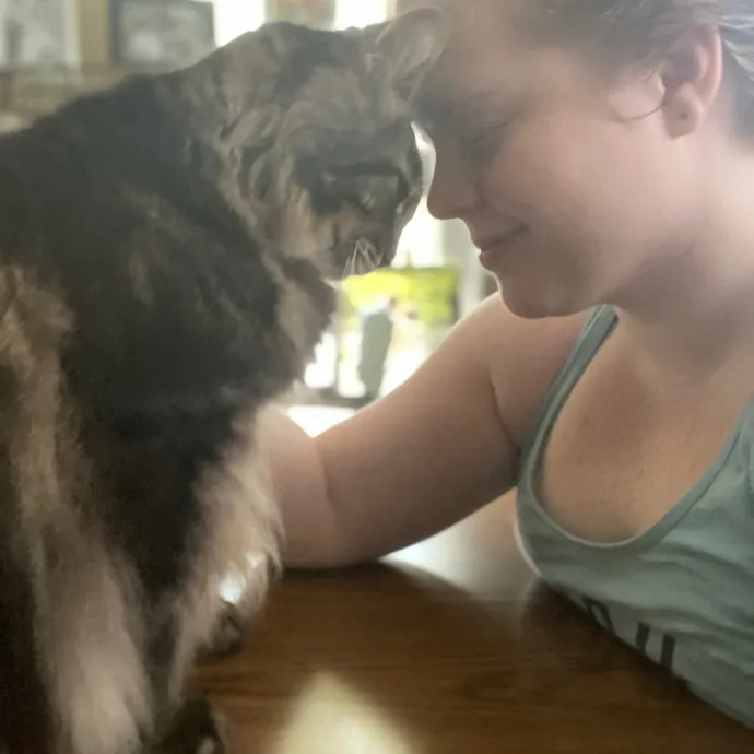 Purrfessional Cat Care - Made To Meet Your Kitty Sitting Needs