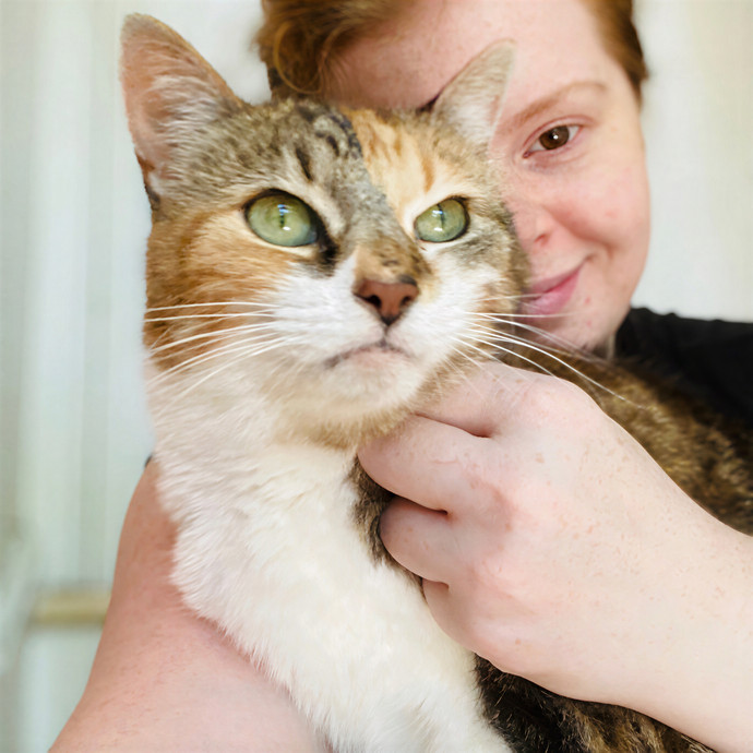 Julie's Purrfessional Cat Care