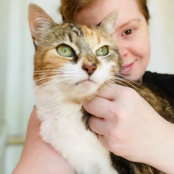 Purrfessional Cat Care - Made To Meet Your Kitty Sitting Needs