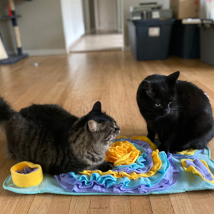 Julie's Purrfessional Cat Care