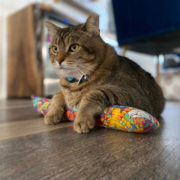 Julie's Purrfessional Cat Care