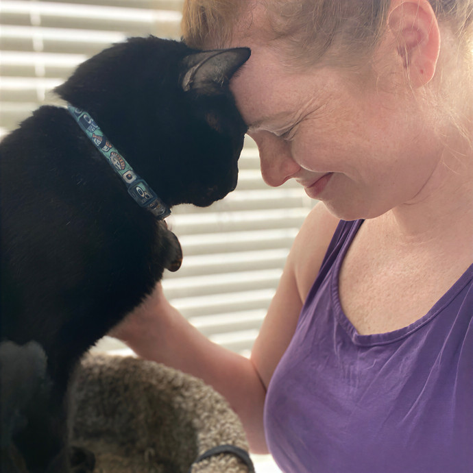 Julie's Purrfessional Cat Care