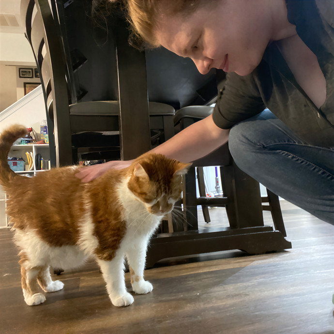Julie's Purrfessional Cat Care