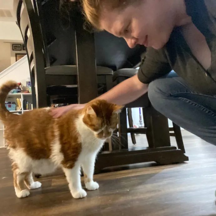 Purrfessional Cat Care - Made To Meet Your Kitty Sitting Needs