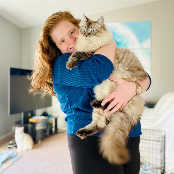 Julie's Purrfessional Cat Care