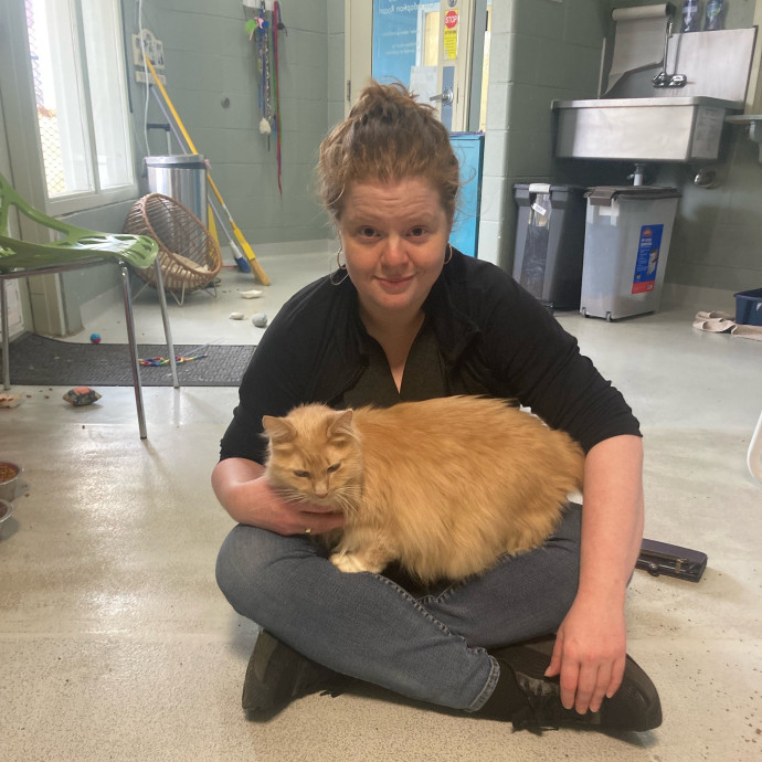 Julie's Purrfessional Cat Care