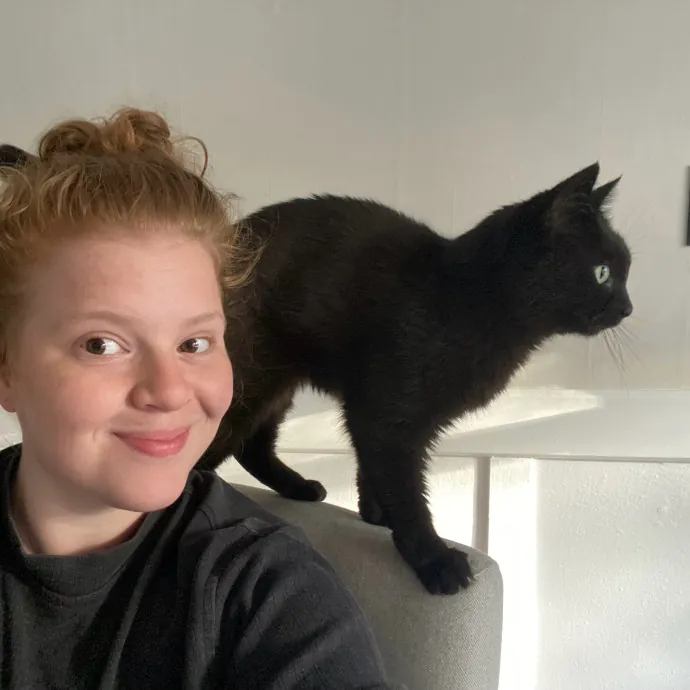 Purrfessional Cat Care - Made To Meet Your Kitty Sitting Needs