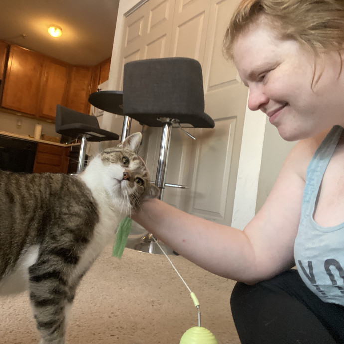 Julie's Purrfessional Cat Care