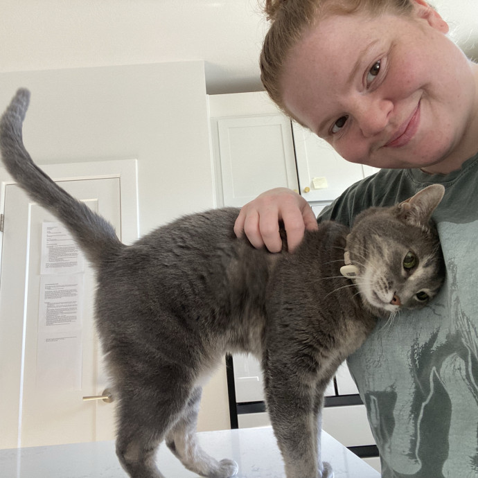 Julie's Purrfessional Cat Care
