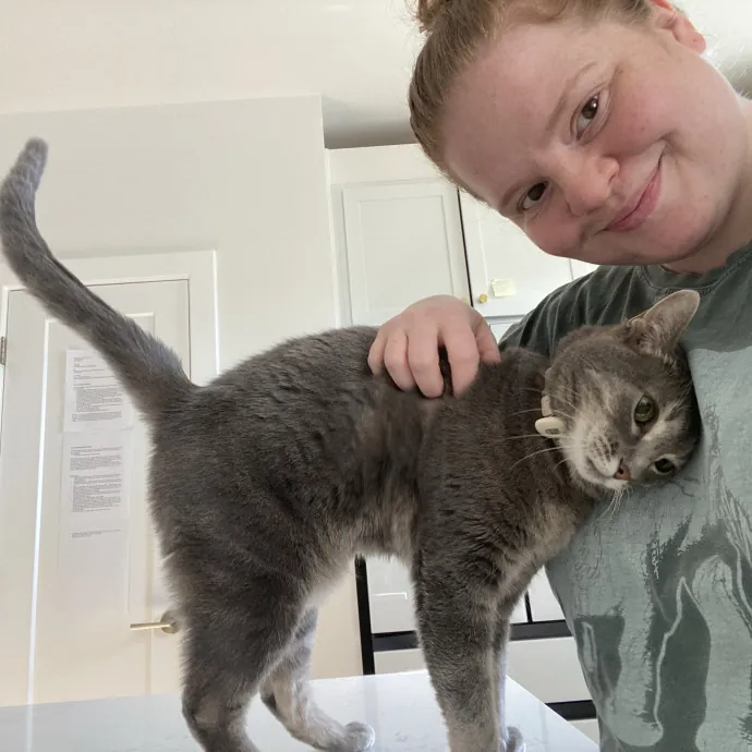 Purrfessional Cat Care - Made To Meet Your Kitty Sitting Needs