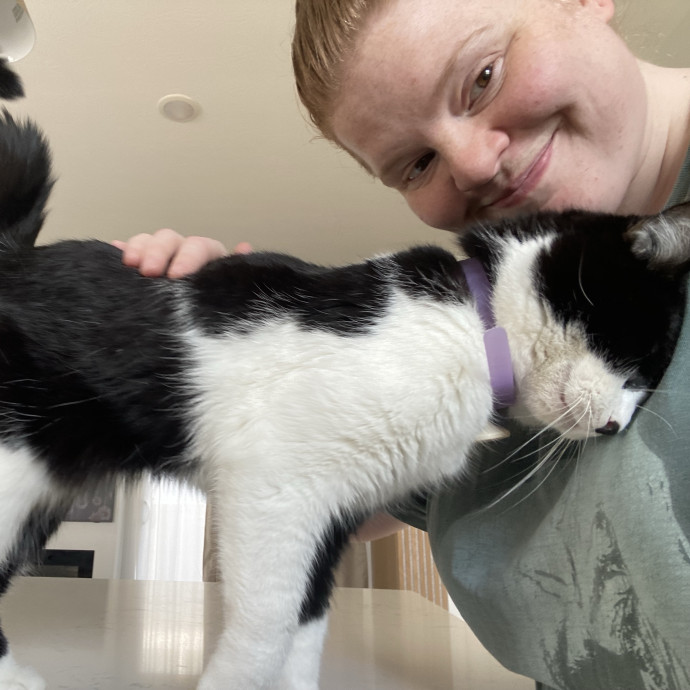 Julie's Purrfessional Cat Care