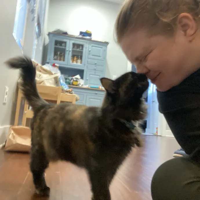 Purrfessional Cat Care - Made To Meet Your Kitty Sitting Needs