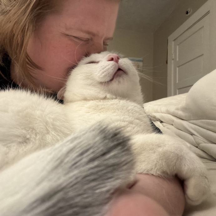 Julie's Purrfessional Cat Care
