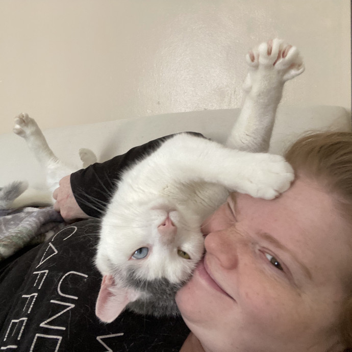 Julie's Purrfessional Cat Care