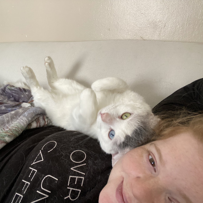 Julie's Purrfessional Cat Care