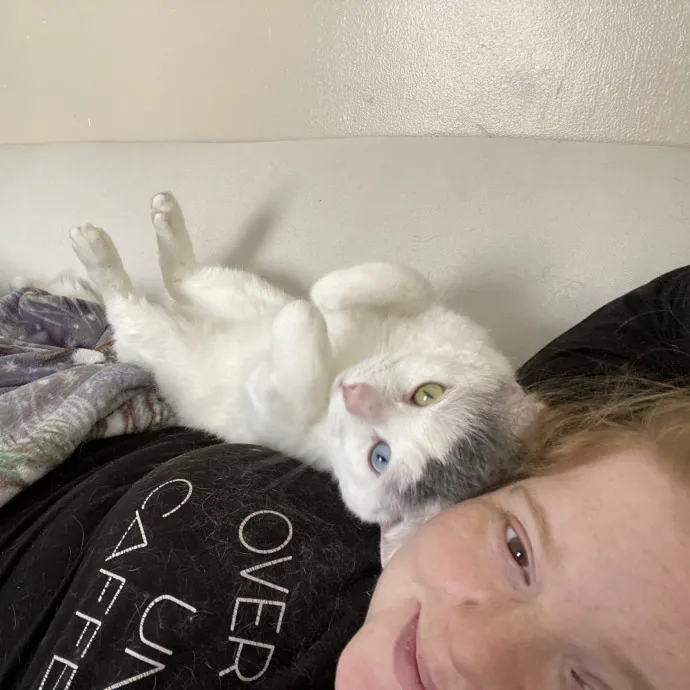 Purrfessional Cat Care - Made To Meet Your Kitty Sitting Needs