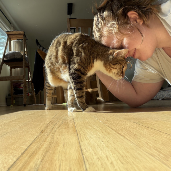 Julie's Purrfessional Cat Care
