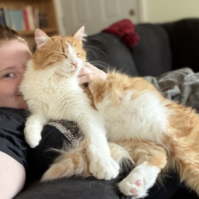 Julie's Purrfessional Cat Care